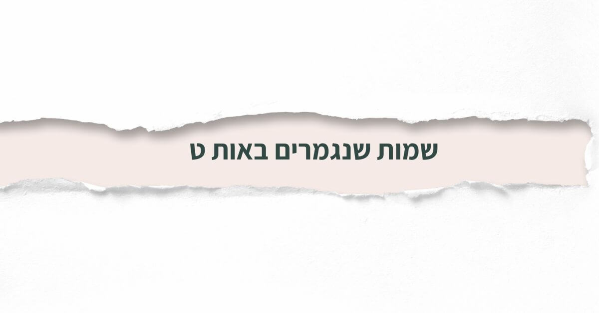 שמות שנגמרים באות ט