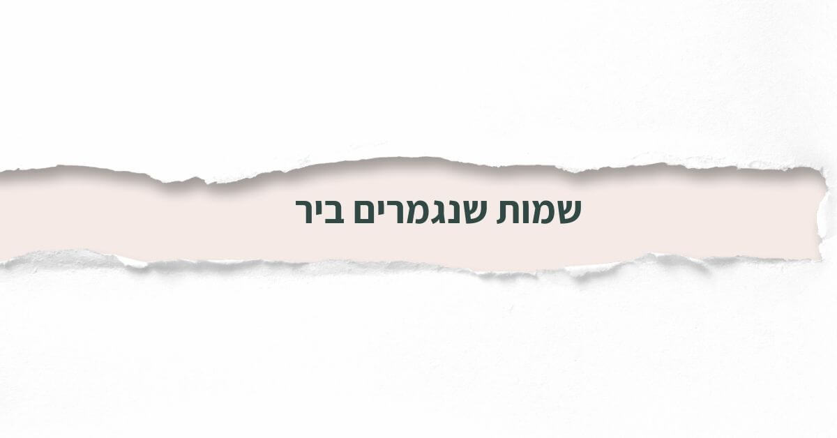 שמות שנגמרים ביר