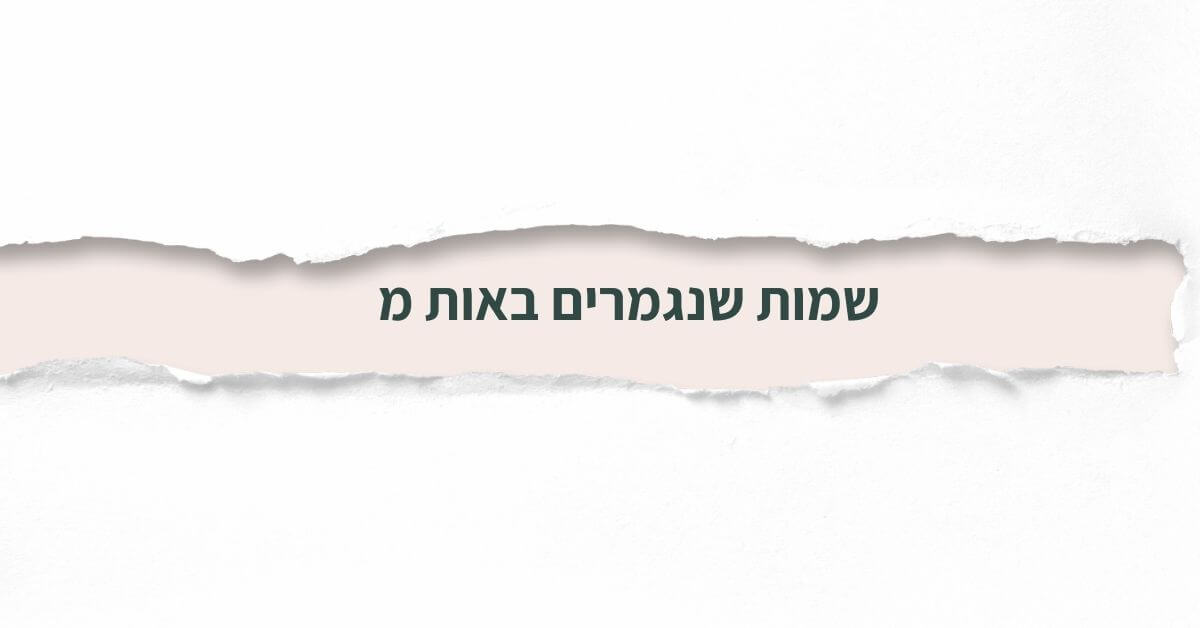 שמות שנגמרים באות מ