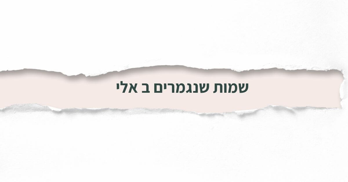 שמות שנגמרים ב אלי